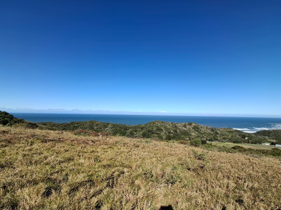 0 Bedroom Property for Sale in Khamanga Bay Eastern Cape